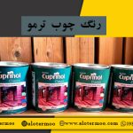 قیمت رنگ چوب ترمو - رنگ کاری صفر تا صد ترمووود توسط شرکت الوترمو - عرضه رنگ خارجی ترمووود